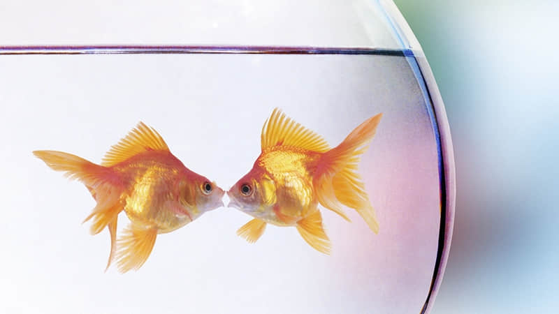 早安,这一句就够了,100%点赞!_wishdown.com 早安,这一句就够了,100%点赞!_wishdown.com