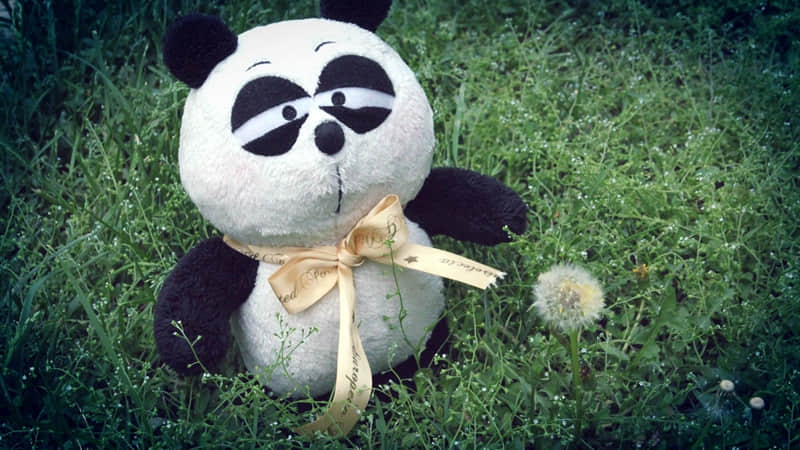 早安,这一句就够了,100%点赞!_wishdown.com 早安,这一句就够了,100%点赞!_wishdown.com