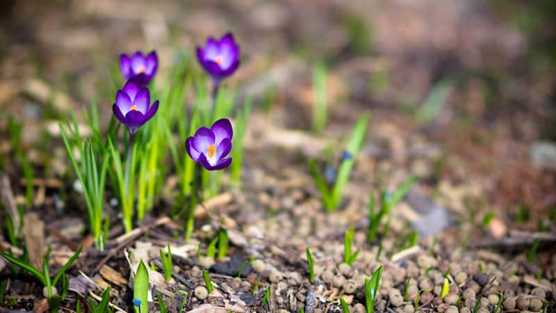 o.??早安·我的朋友!_wishdown.com o.??早安·我的朋友!_wishdown.com