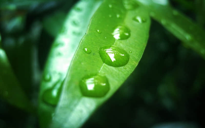 o.??早安·我的朋友!_wishdown.com o.??早安·我的朋友!_wishdown.com