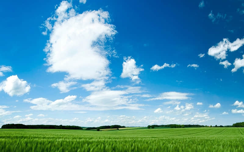 句句不提美,句句都是美,美的一塌糊涂_wishdown.com 句句不提美,句句都是美,美的一塌糊涂_wishdown.com