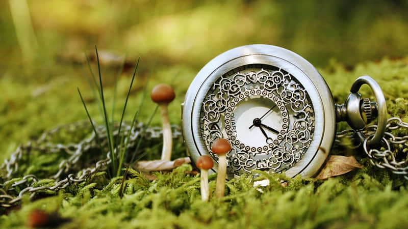 ?ˋ??????????ˊ?,挑一句去旺自己??_wishdown.com ?ˋ??????????ˊ?,挑一句去旺自己??_wishdown.com