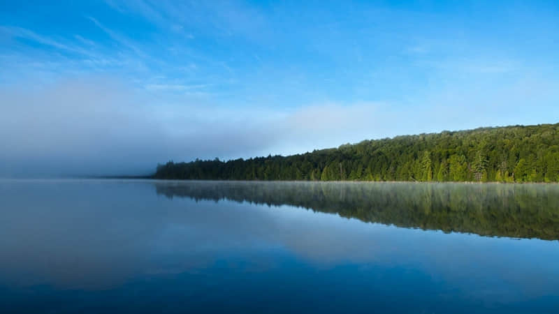 适合春天发的朋友圈文案~_wishdown.com 适合春天发的朋友圈文案~_wishdown.com