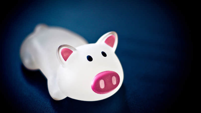 适合春天发的朋友圈文案~_wishdown.com 适合春天发的朋友圈文案~_wishdown.com