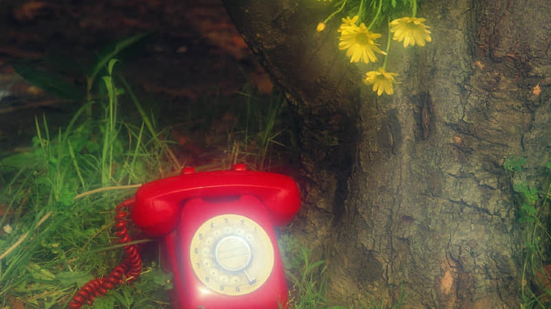 渡自己,一句就够了~_wishdown.com 渡自己,一句就够了~_wishdown.com