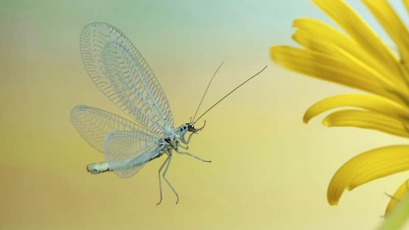 聊天野一点,他要爱死你??_wishdown.com 聊天野一点,他要爱死你??_wishdown.com