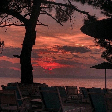 �������˸е��ǳ�Ů��(��ѡ100��)