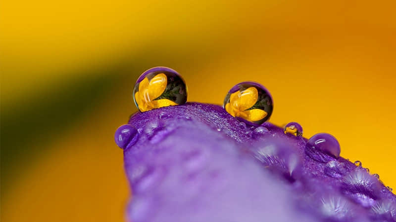 就发一句,撩到他上头_wishdown.com 就发一句,撩到他上头_wishdown.com