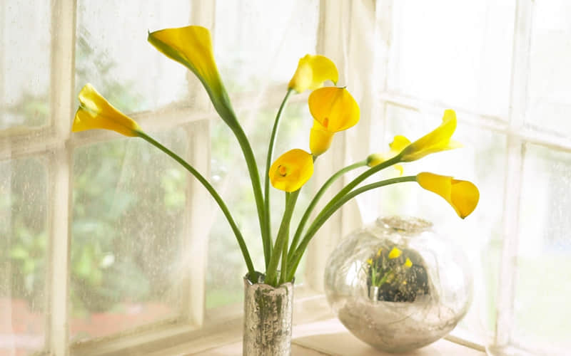 就发一句,撩到他上头_wishdown.com 就发一句,撩到他上头_wishdown.com