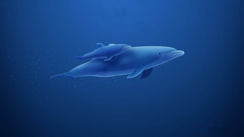 拿一句,去微信置顶吧!_wishdown.com 拿一句,去微信置顶吧!_wishdown.com