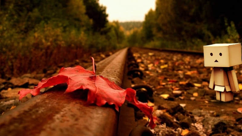 ����Ȧ��������ƽ�������ӣ�Ҳ�ܷ��Ź�%