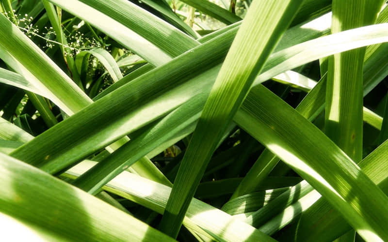 你这样发,他若爱你立马崩了_wishdown.com 你这样发,他若爱你立马崩了_wishdown.com