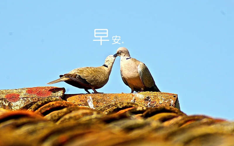 适合早上,发的朋友圈文案~_wishdown.com 适合早上,发的朋友圈文案~_wishdown.com