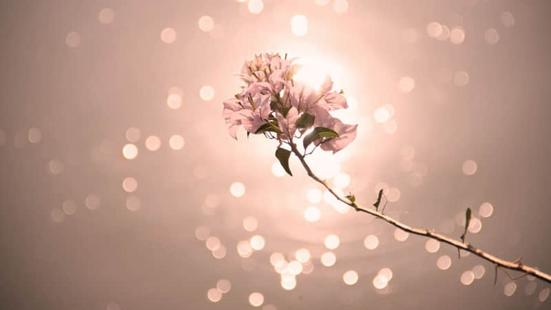 发朋友圈一定要学会:卖感觉_wishdown.com 发朋友圈一定要学会:卖感觉_wishdown.com