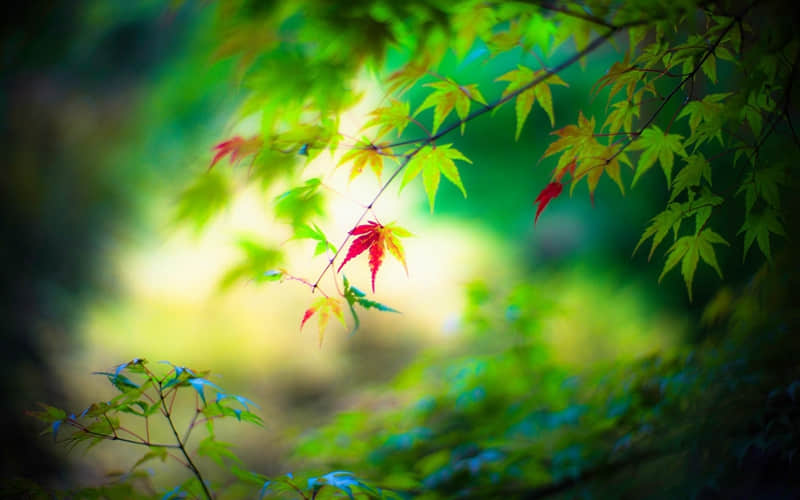 故意让某人看了,难受一整天的句子_wishdown.com 故意让某人看了,难受一整天的句子_wishdown.com