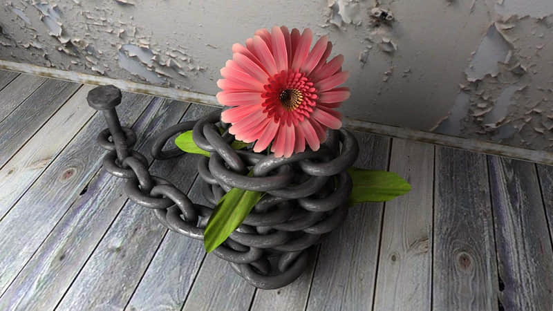 你得会撩,他才会爱_wishdown.com 你得会撩,他才会爱_wishdown.com