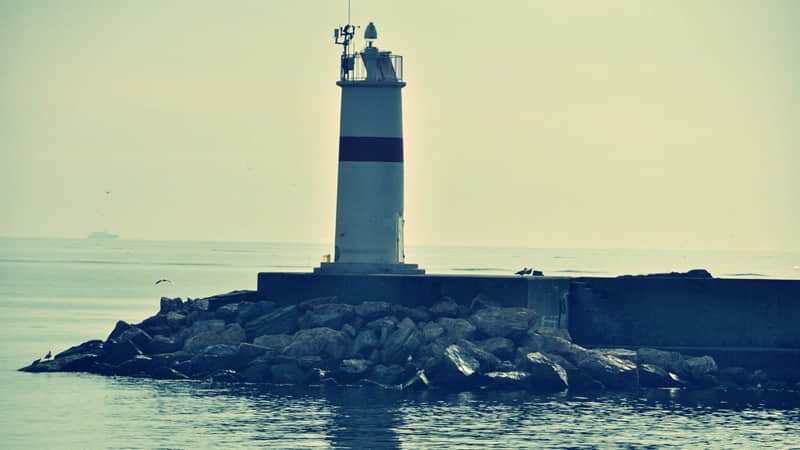 你得会撩,他才会爱_wishdown.com 你得会撩,他才会爱_wishdown.com