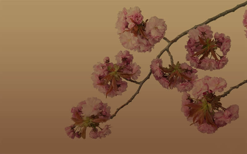 你得会撩,他才会爱_wishdown.com 你得会撩,他才会爱_wishdown.com