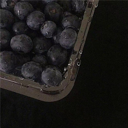 好看伤感的单字网名女生(精选100个)_wishdown.com 好看伤感的单字网名女生(精选100个)_wishdown.com