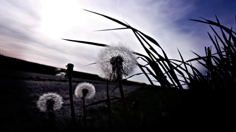 �̺ܾܶ��޵ĸ������İ�