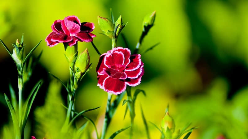 ����Ц��һ������ȹ����ϰ�ǧ��Ҫ��