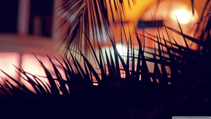 ?? �ϼ���????????���㱩����??