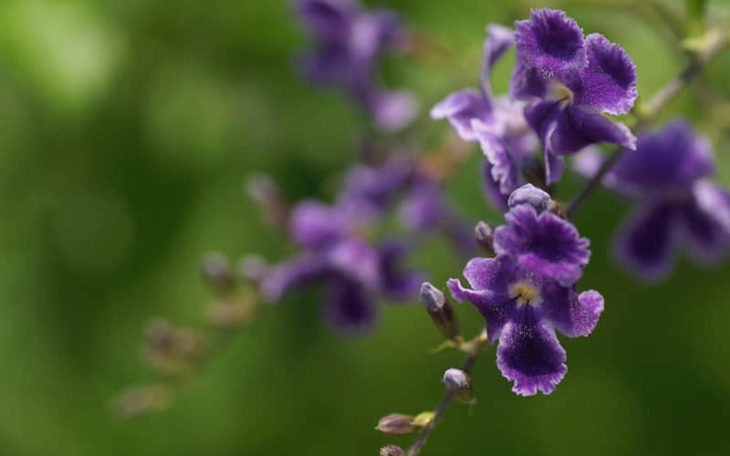 һ��Ů����ô����˵�����ܴ���??