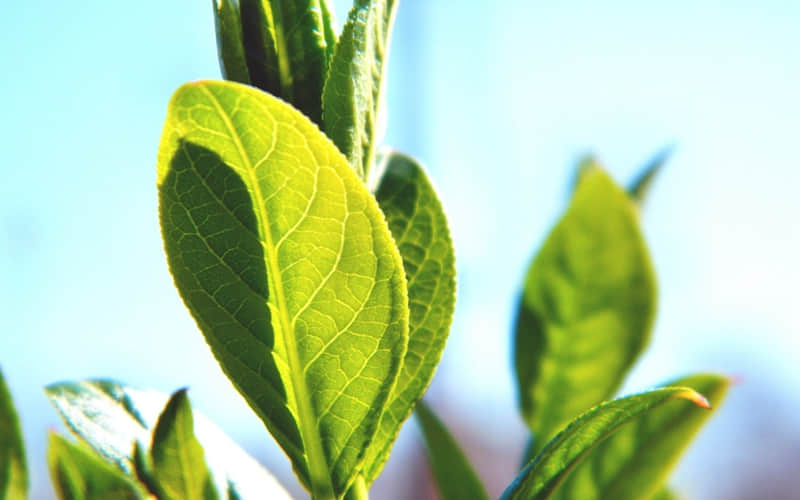 你越这么讲,他越忍不住联系你!_wishdown.com 你越这么讲,他越忍不住联系你!_wishdown.com