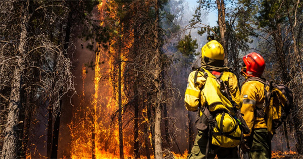 蚂蚁新村3月28日答案更新2026_wishdown.com 蚂蚁新村3月28日答案更新2026_wishdown.com