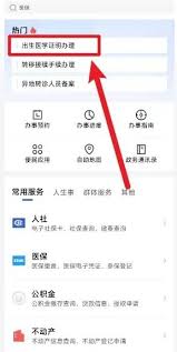 鄂汇办app如何办理出生证明-鄂汇办app办理出生证明的方法_wishdown.com 鄂汇办app如何办理出生证明-鄂汇办app办理出生证明的方法_wishdown.com