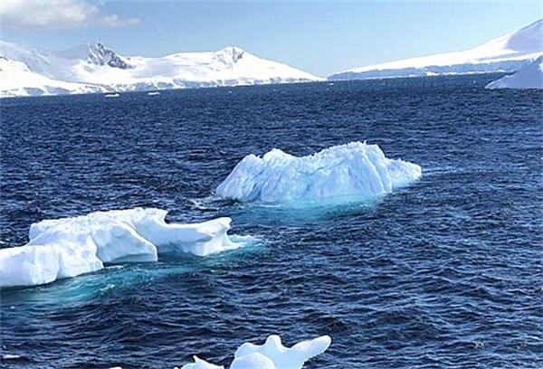 蚂蚁庄园3月31日今日答案2026_wishdown.com 蚂蚁庄园3月31日今日答案2026_wishdown.com