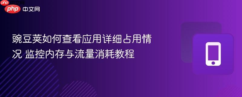 豌豆荚如何查看应用详细占用情况_wishdown.com