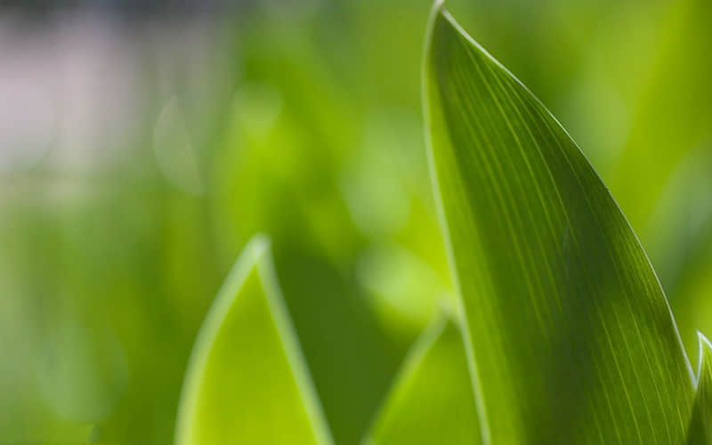 ������Ƥһ�£��Է����̲�ס���