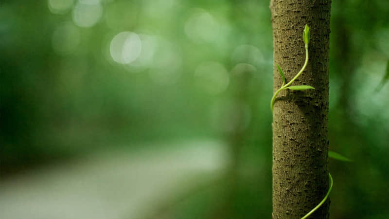 ���Ӻ̣ܶ��󾢺ܴ�(?????��?????)