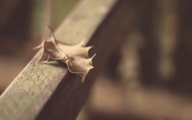 �����⣬һ��һ�������İ����ͻ��Ͽɶ���������~