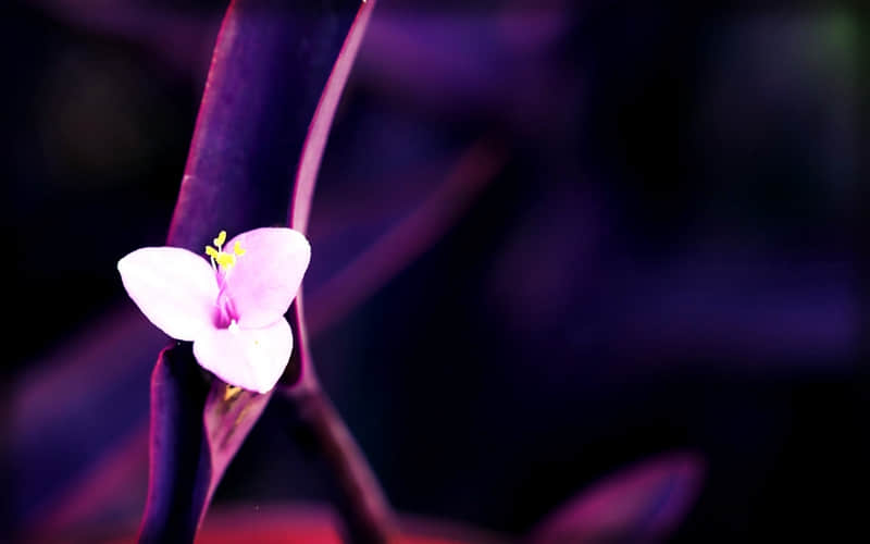 "记下来,吵架能秒杀对方的句子"_wishdown.com "记下来,吵架能秒杀对方的句子"_wishdown.com