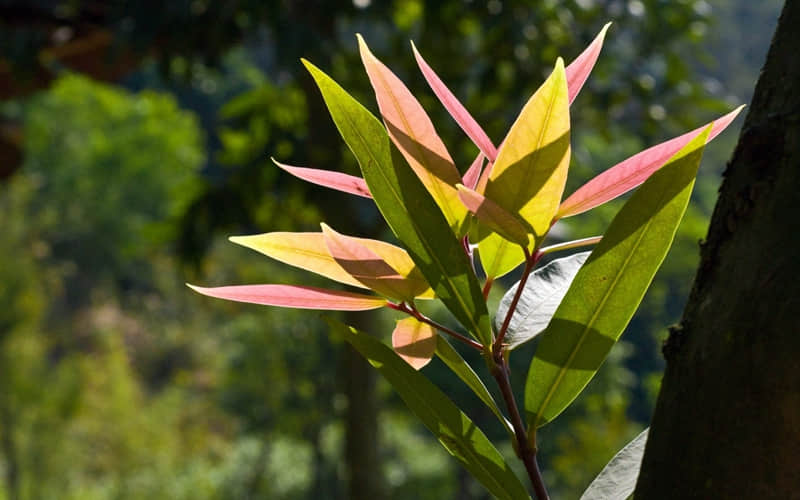 "记下来,吵架能秒杀对方的句子"_wishdown.com "记下来,吵架能秒杀对方的句子"_wishdown.com