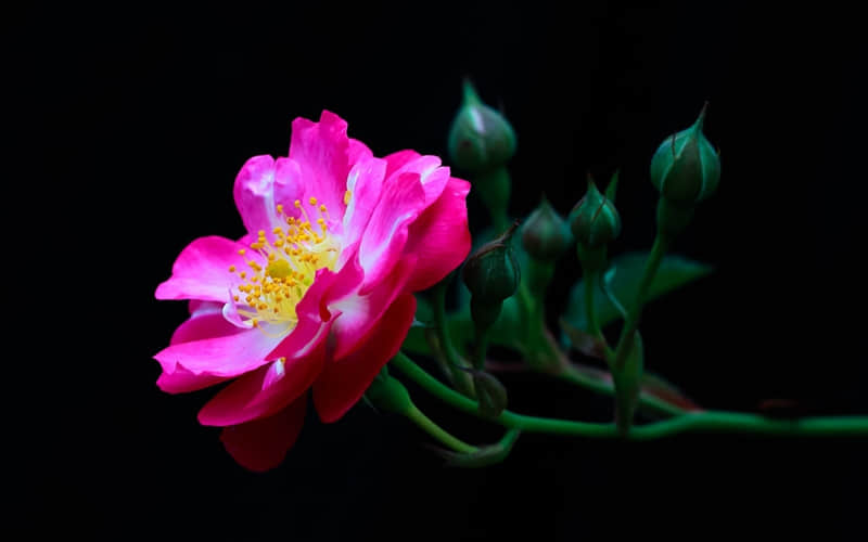 ����һ���ˣ���������