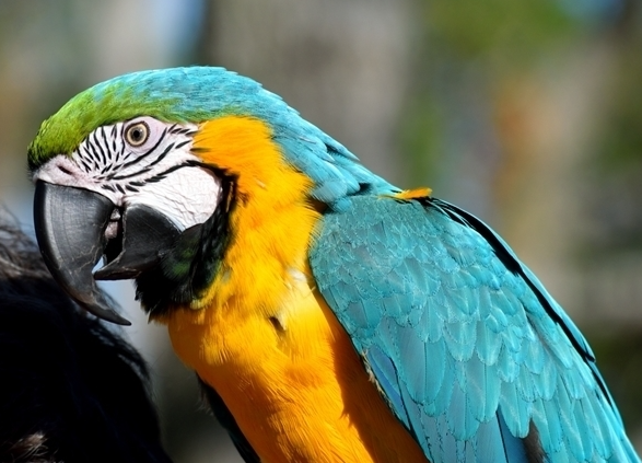 ���������ķ���һ�ܺ�ס��ICU ҽ�����ò�֢�м��ʸ���