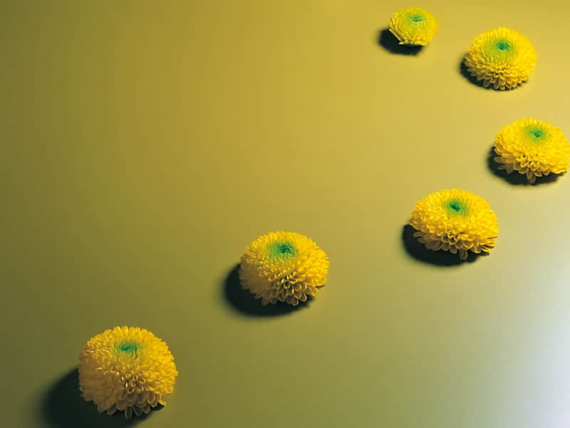 �������ܻ���İ�