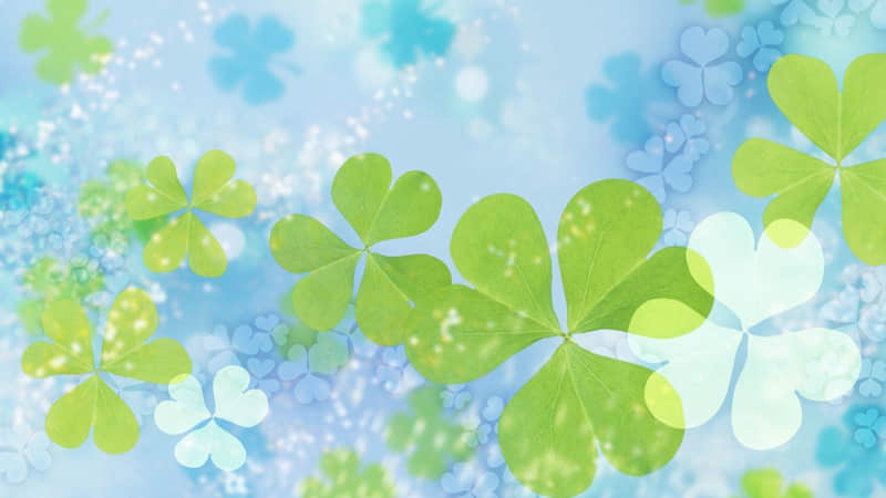 好文案,一句就够了_wishdown.com 好文案,一句就够了_wishdown.com