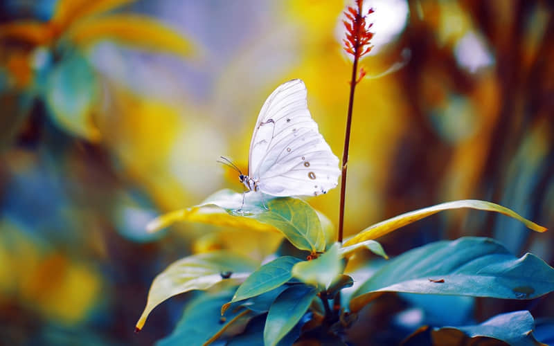 ����Ȧ????���������??