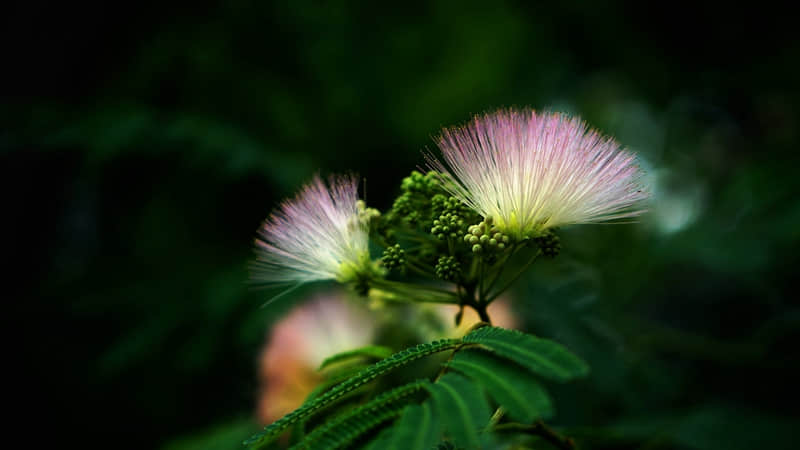 4月1日愚人节这样发去笑死朋友圈_wishdown.com 4月1日愚人节这样发去笑死朋友圈_wishdown.com