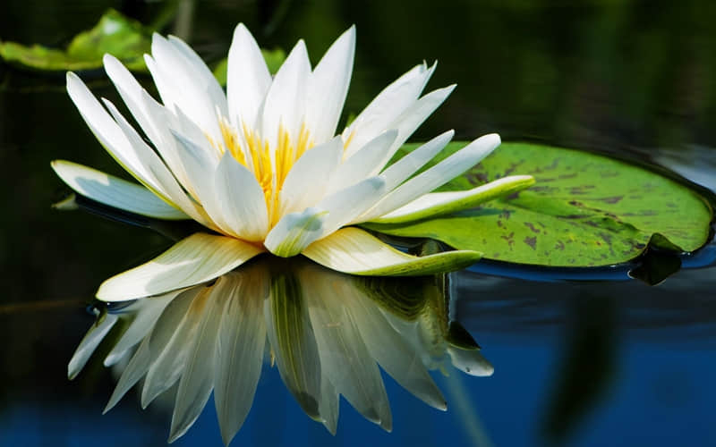 4月1日愚人节这样发去笑死朋友圈_wishdown.com 4月1日愚人节这样发去笑死朋友圈_wishdown.com