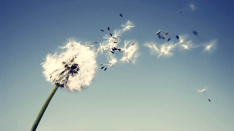 最撩动人心的深情告白绝美情话_wishdown.com 最撩动人心的深情告白绝美情话_wishdown.com