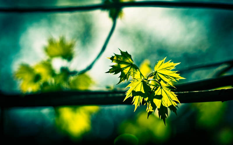 ����������Ȧ������û�����������~