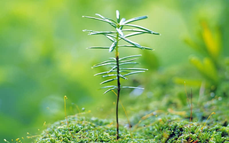 ���������Ĺ�ϵ������������