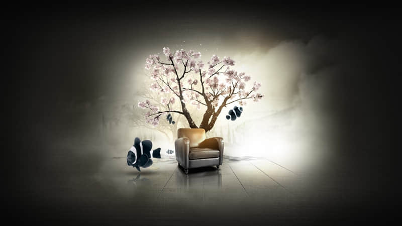 ������ȦҪѧ�����о�