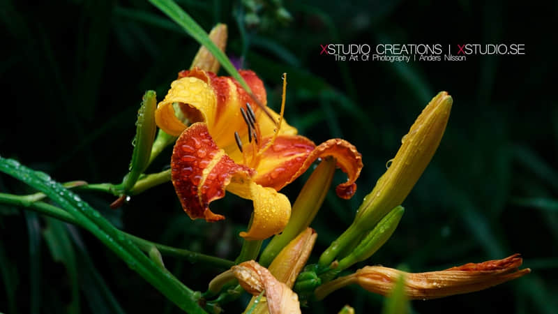 �Ȱ���������Ȧ�İ�