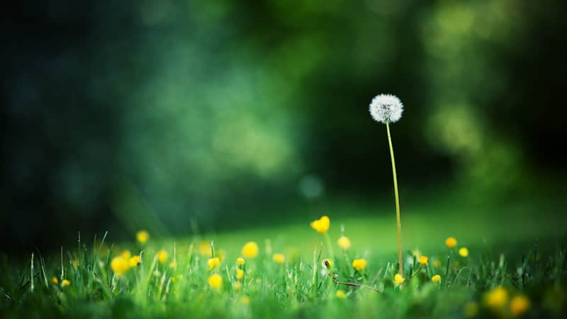 ι�����˰�ȫ�����ܰ�����